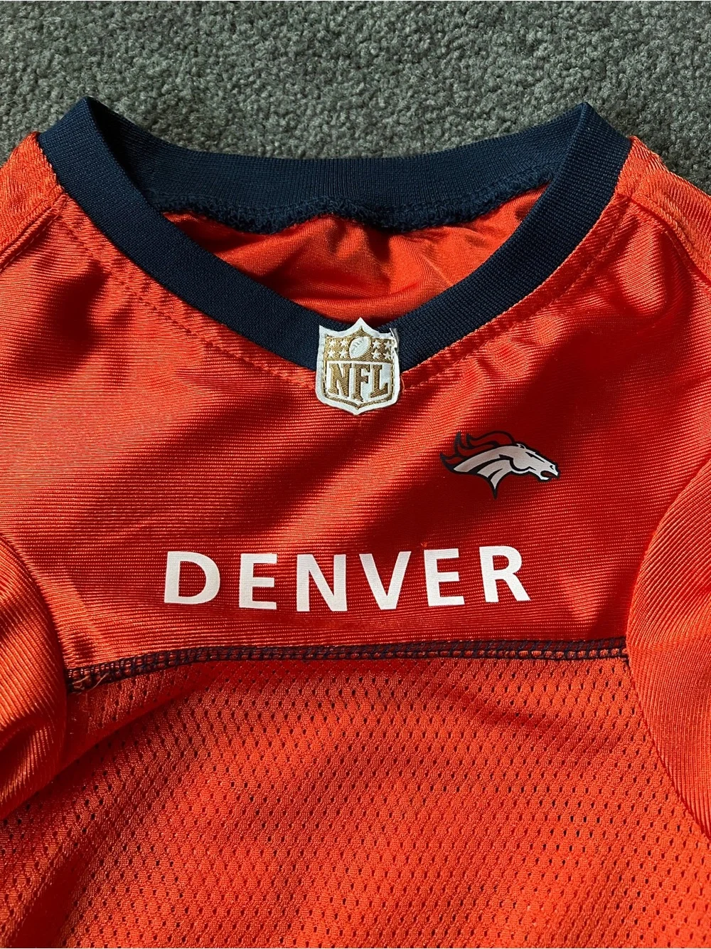 Broncos Dog jersey